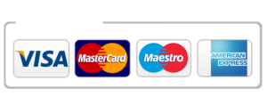 stripe payment icon